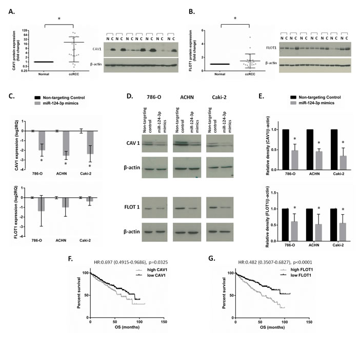 fig6