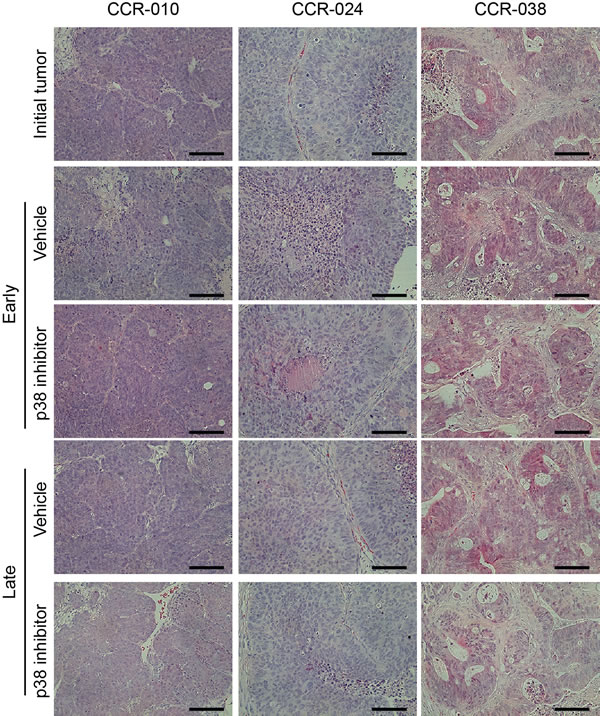 fig3