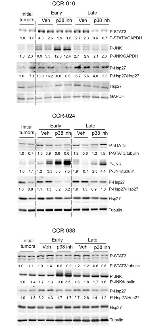 fig6