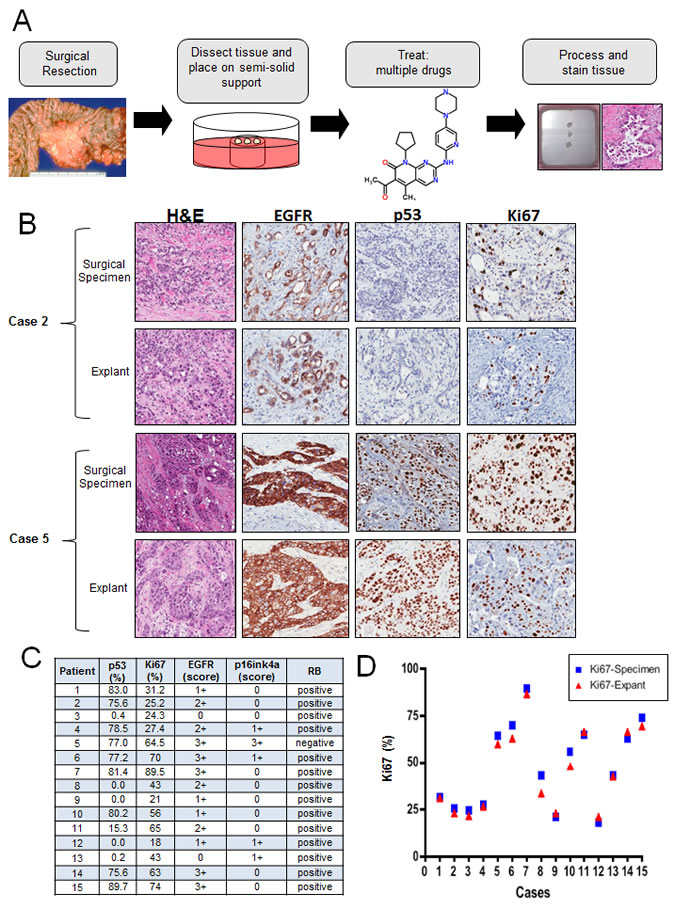 fig2