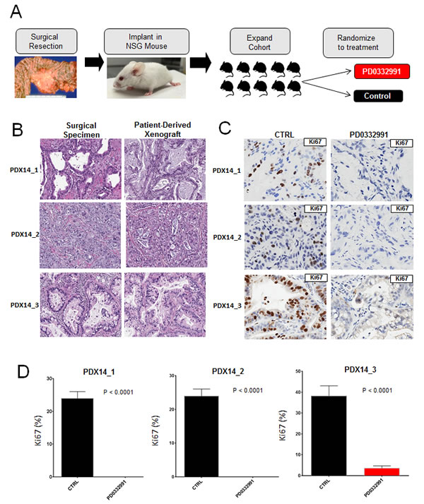 fig4a