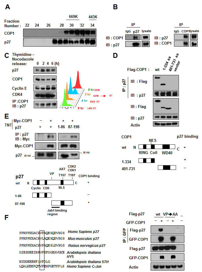 fig1