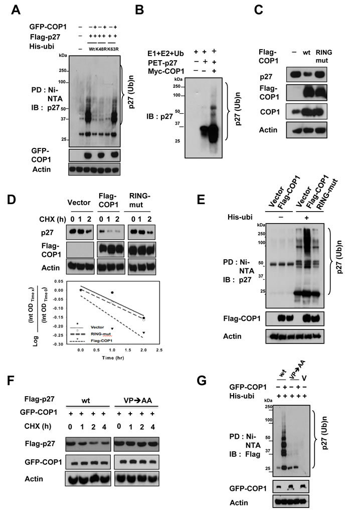 fig3