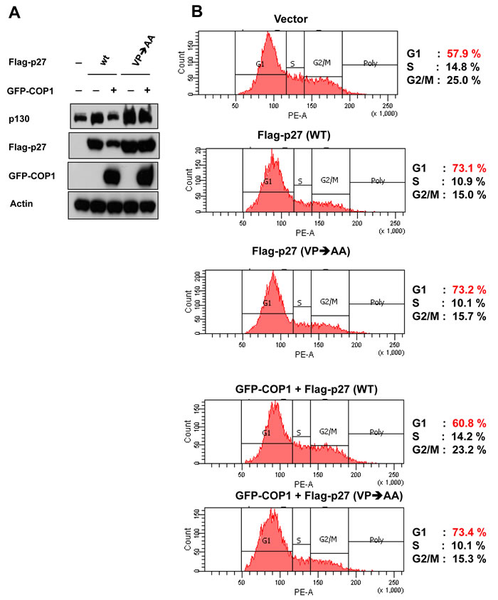 fig4