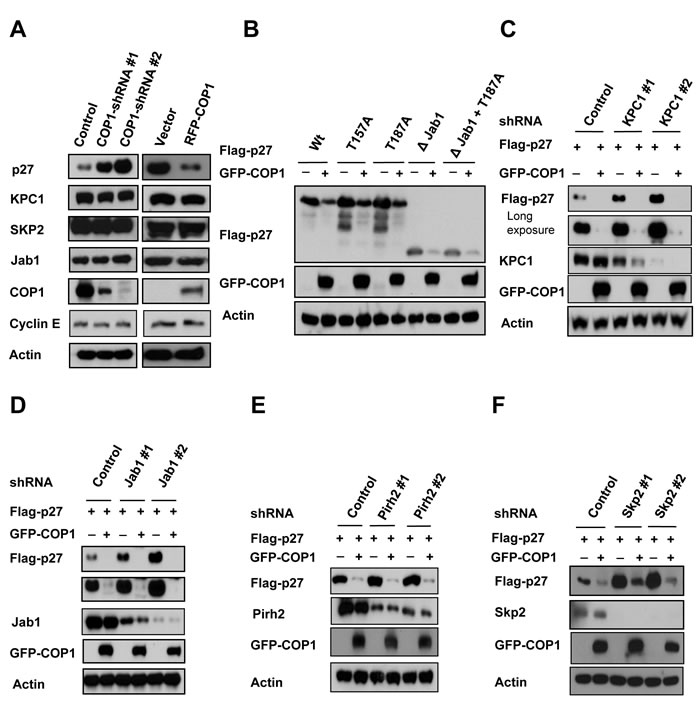 fig6