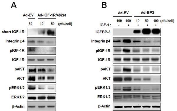 fig3