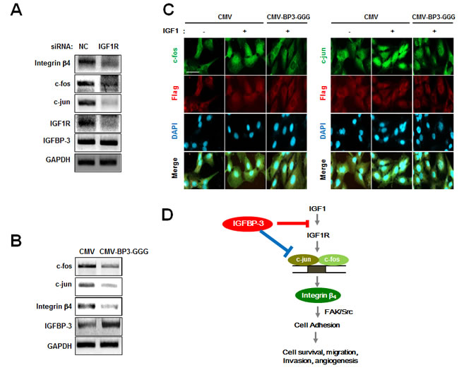 fig6