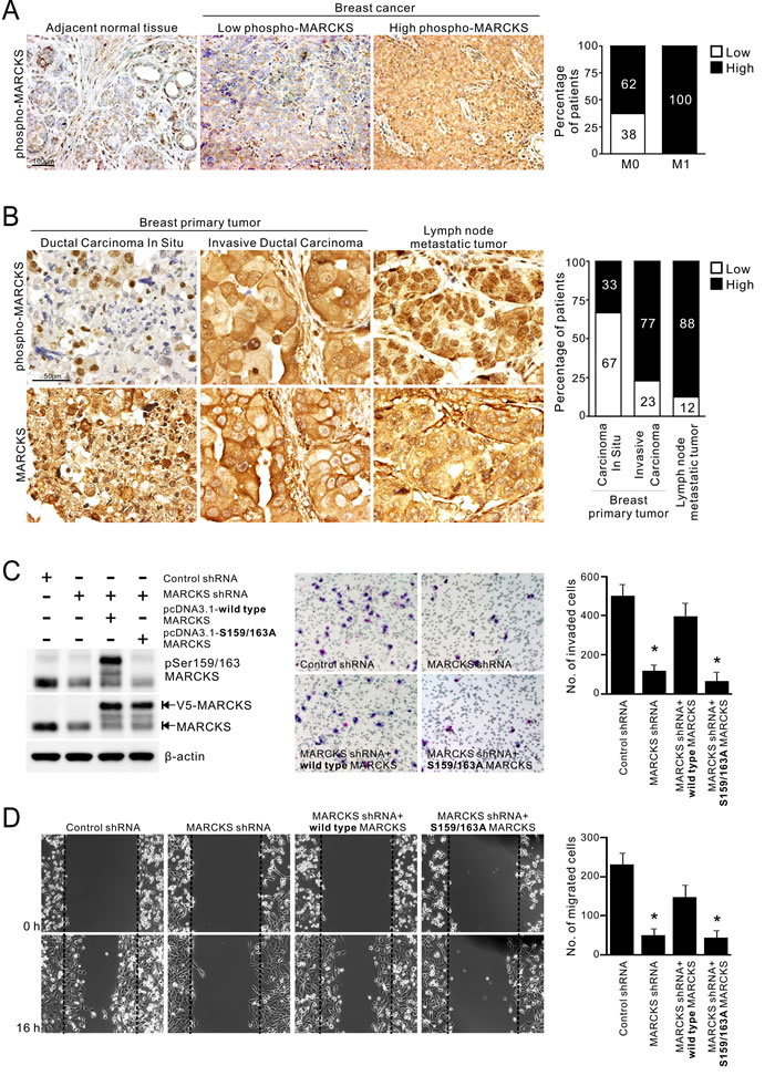 fig1