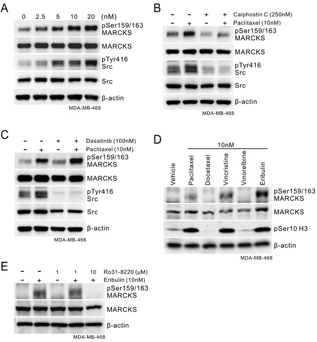 fig3