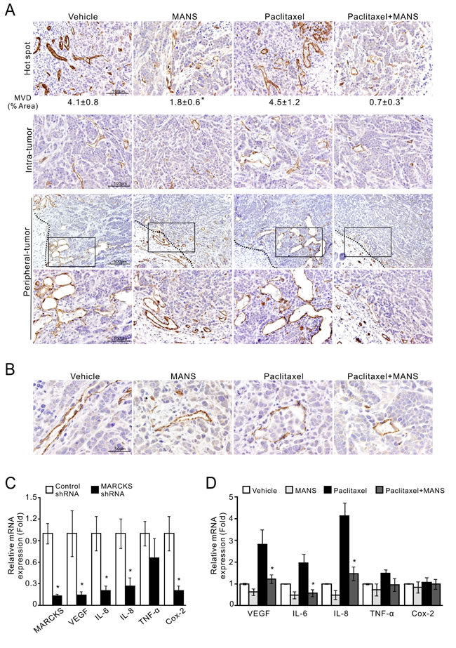 fig6