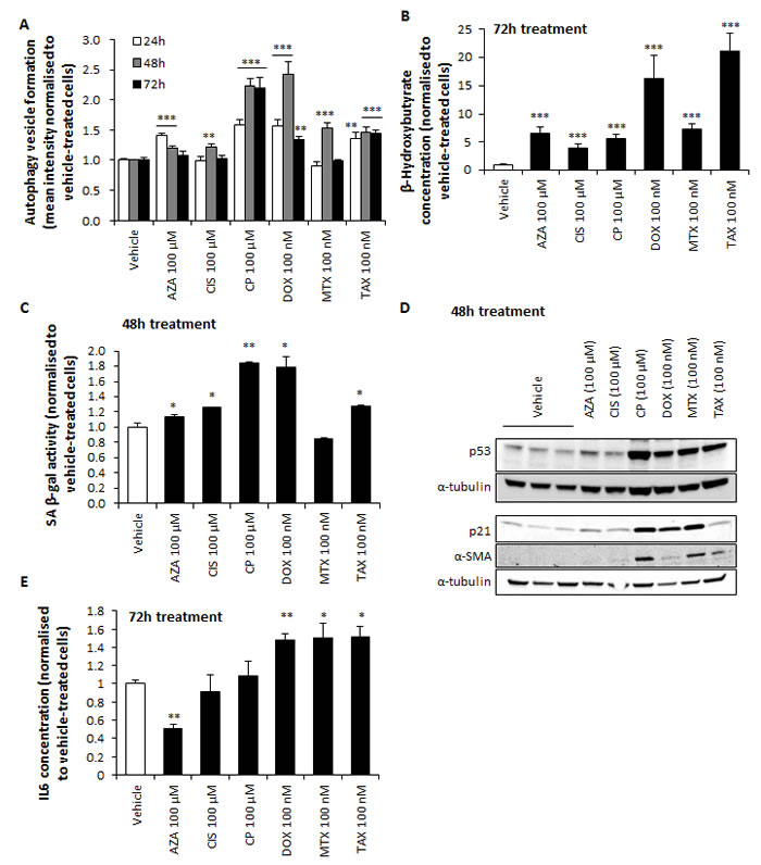 fig6