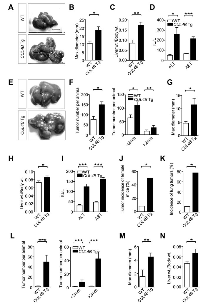 fig3