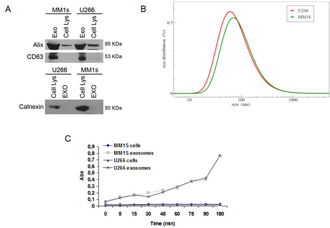 fig1