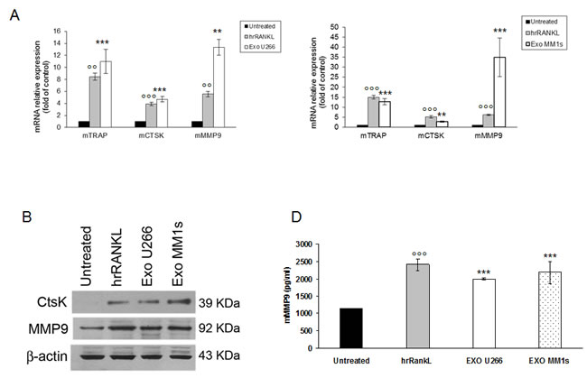 fig4