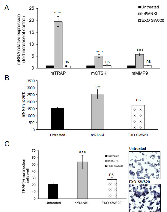 fig6