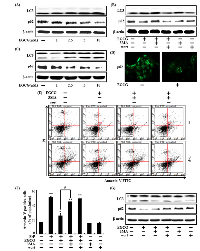 fig3
