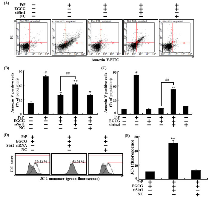 fig6