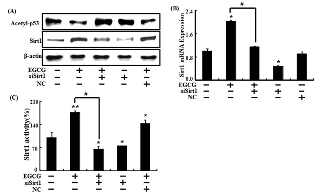 fig7