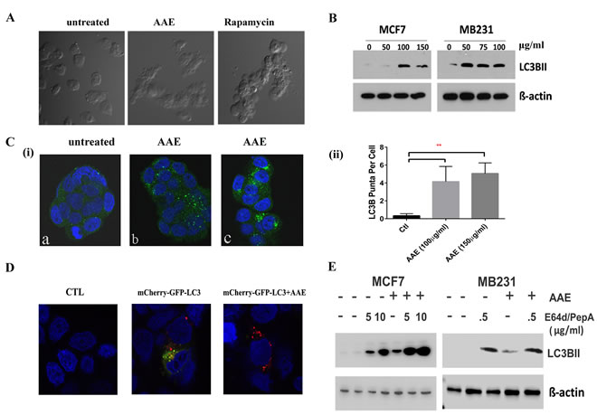 fig3