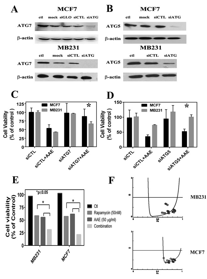 fig4