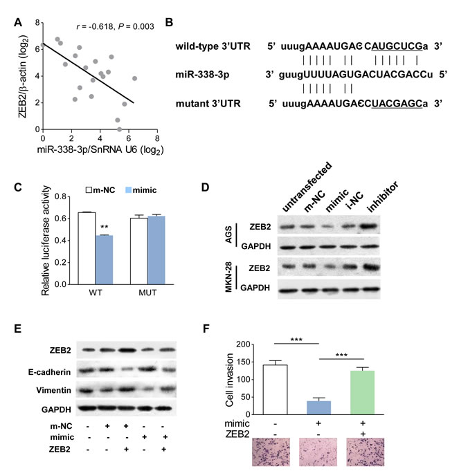 fig4