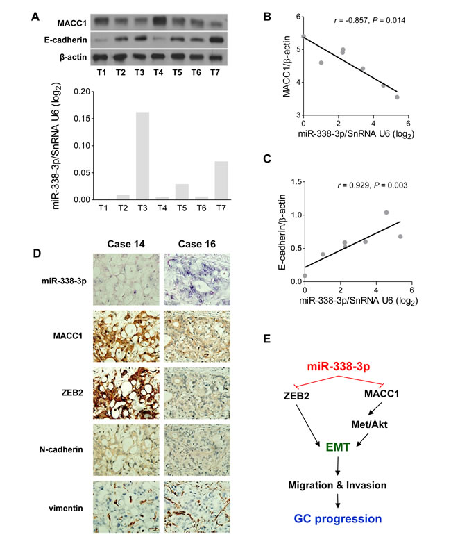 fig6