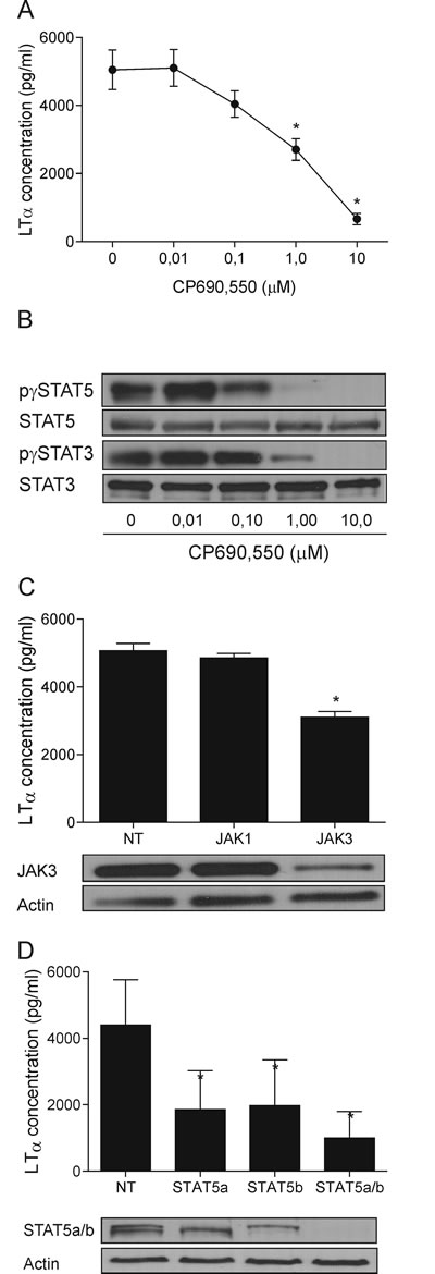 fig2