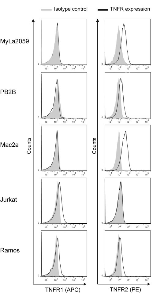 fig4