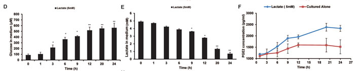 fig1b