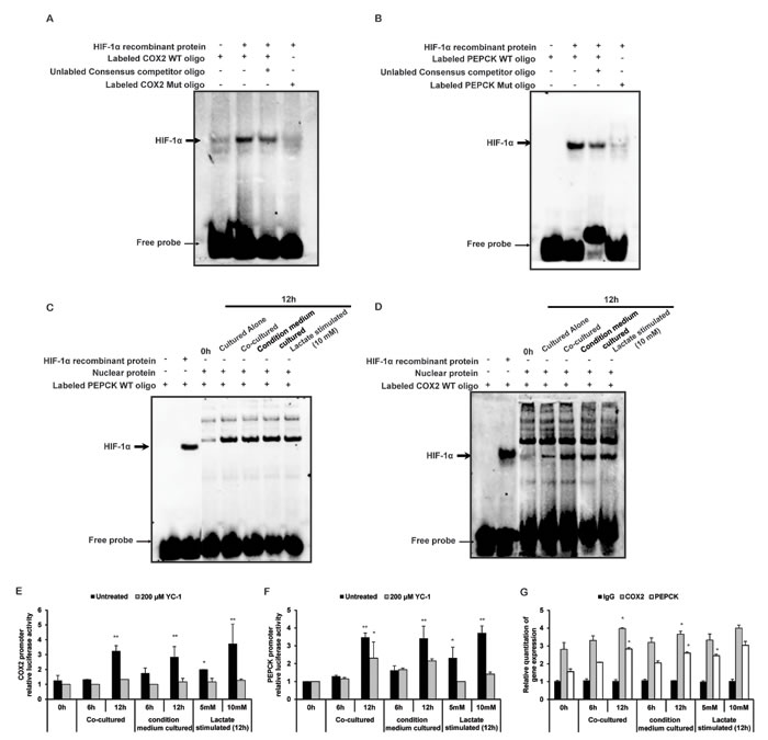 fig6