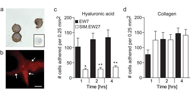 fig3