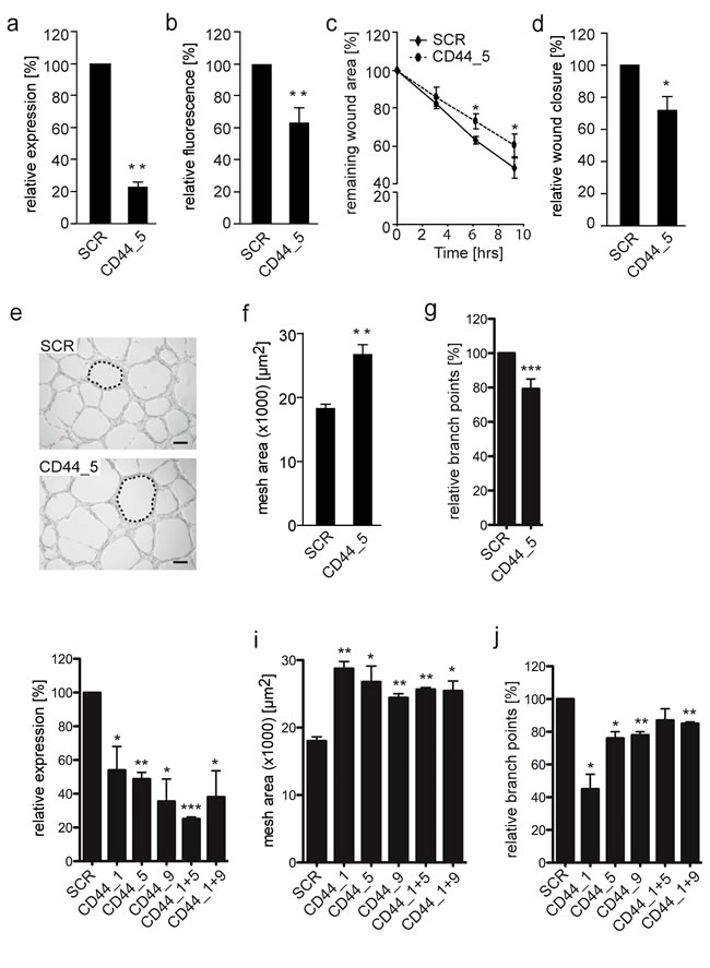 fig4