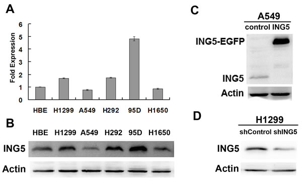 fig1
