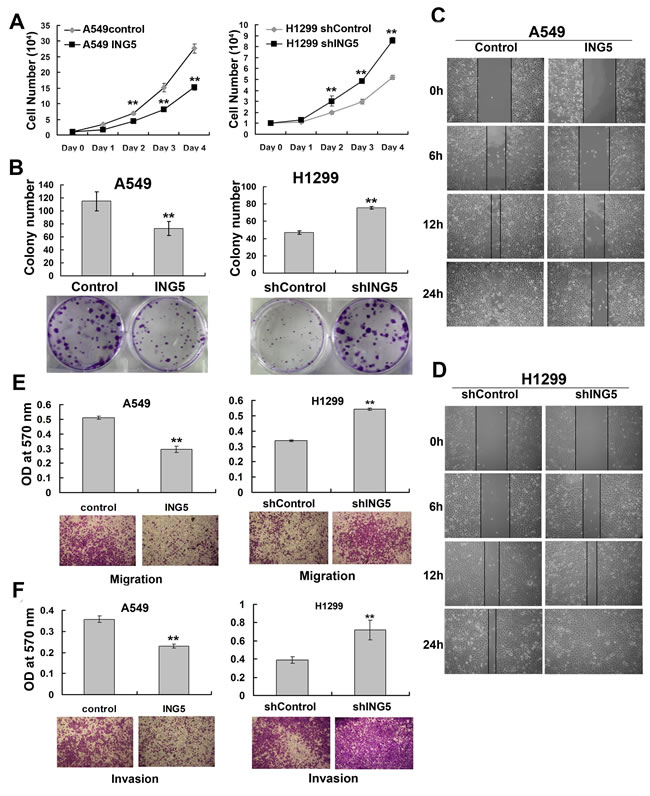 fig2