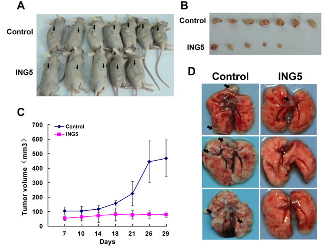 fig3