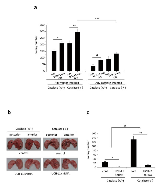 fig2