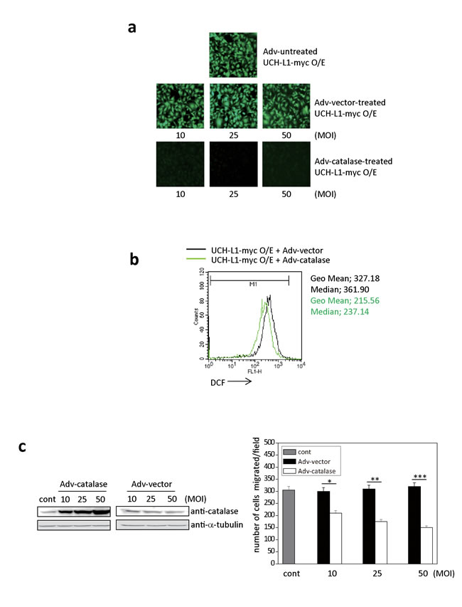 fig3