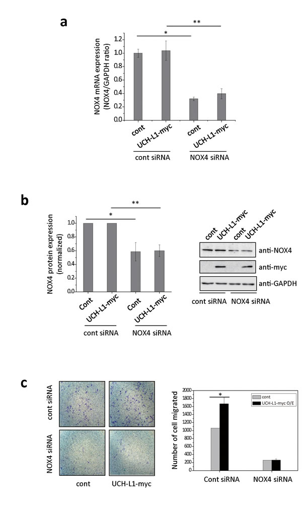 fig4