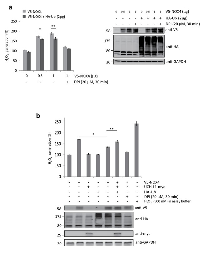 fig6
