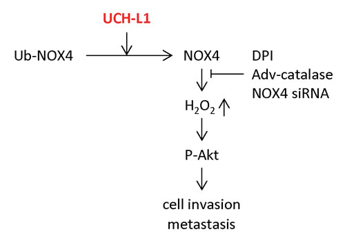 fig8