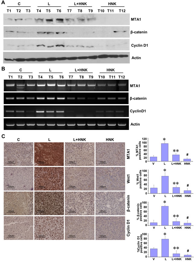 fig3