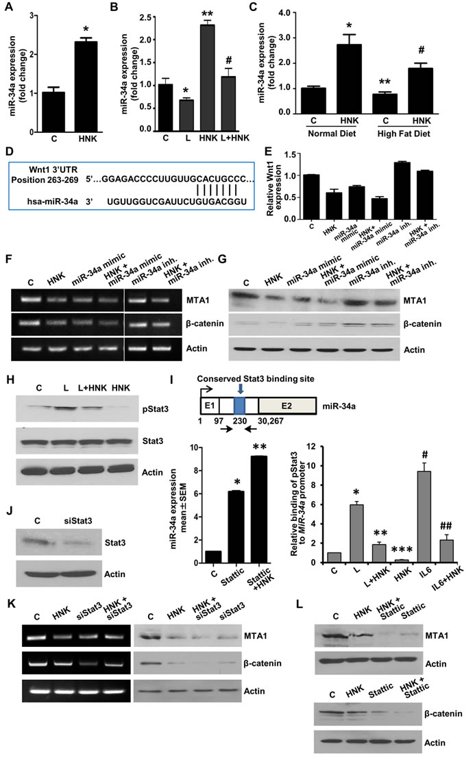 fig6