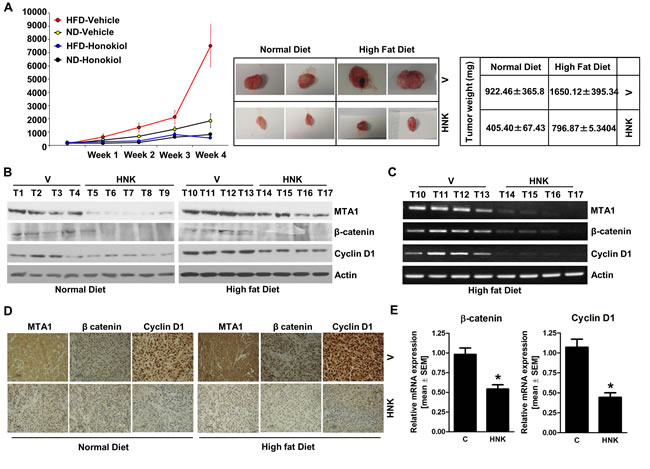 fig4