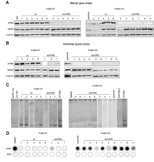 fig3