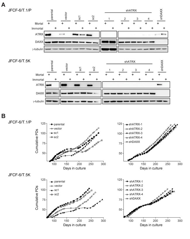 fig4