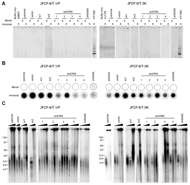 fig6