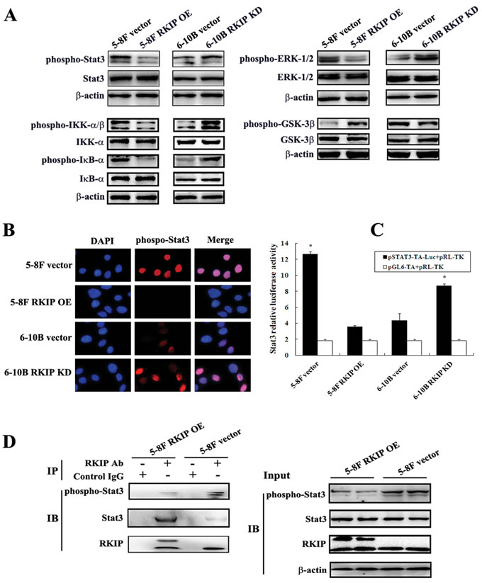 fig4