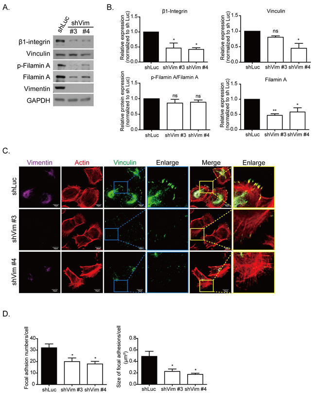 fig3