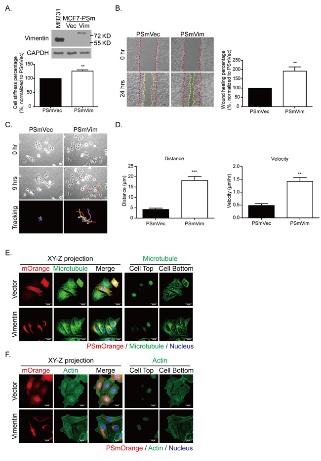 fig6