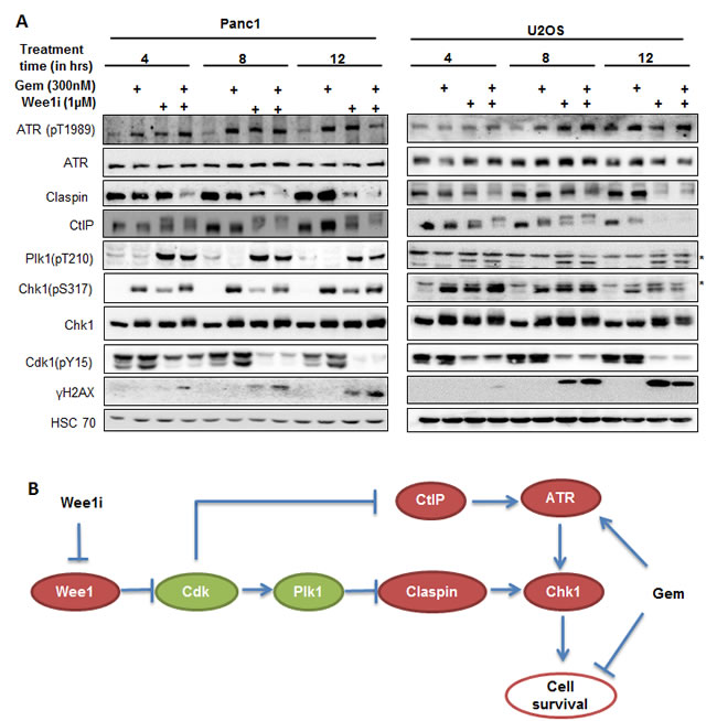 fig8